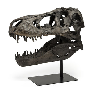 Mercana Jurassic 57430 Brown main image