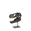 Jurassic Brown Resin Tyrannosaurus Skull Replica Main Image