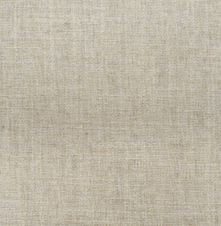 Mercana Topanga 68504 Brown Furniture Swatch Image