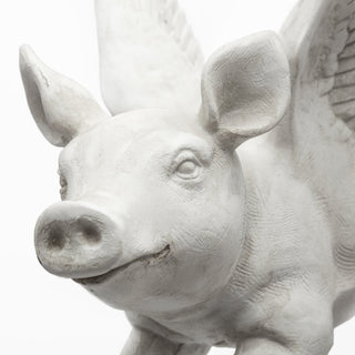Mercana Hogbadi 44201 White Wall Art Alternate Image