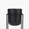Mercana Bumble 68828 Black Furniture Alternate Image