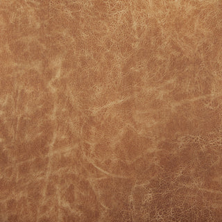 Mercana Damon 69614 Brown Furniture Swatch Image
