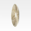 Mercana Mekhi 69603 Brown/White Wall Art Alternate Image