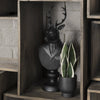 Mercana Mozart 69288 Black Lifestyle Image