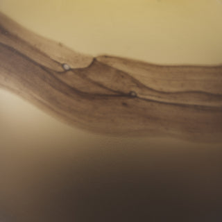 Pyla Short Yellow/Brown Glass Sand Dune Inspired Vase Alternative Image