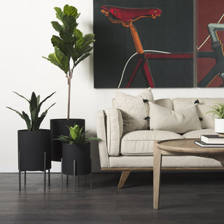 Mercana Claypoole 68841 Black Furniture Lifestyle Image