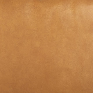 Mercana Svend 69691-AB Tan Furniture Swatch Image