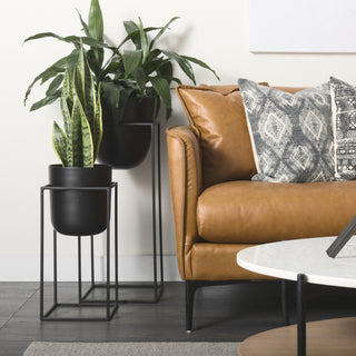 Mercana Bumble 68828 Black Furniture Lifestyle Image
