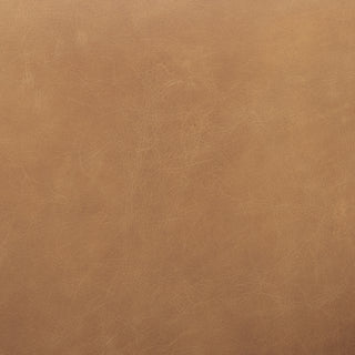 Mercana Ashton 69817 Brown Furniture Swatch Image