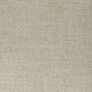 Mercana Donna 69933 Brown Furniture Swatch Image