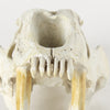 Mercana Fozzil 57425 Beige Alternate Image