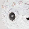 Mercana Spike 68019 White Alternate Image