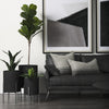 Claypoole Black Plant Stands Lifestyle Image Feature