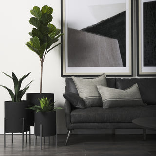 Claypoole Black Plant Stands Lifestyle Image Feature