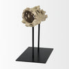 Mercana Dwell 70183 Brown Alternate Image
