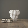 Mercana Vanna 70973 Cream Lifestyle Image