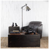 Rocky Black Resin Boxer Dog Lifestyle Image Feature