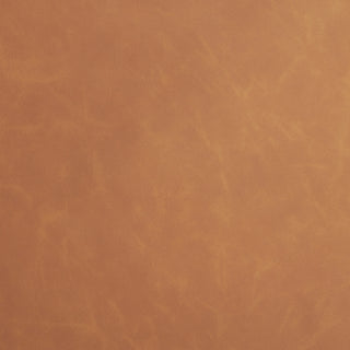 Mercana Carlisle 71255 Tan Furniture Swatch Image