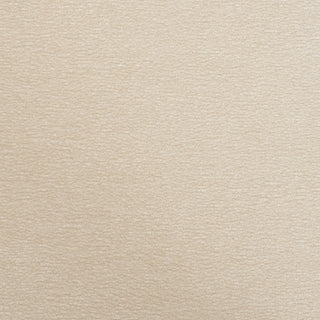 Mercana Carlisle 71256 Cream Furniture Swatch Image