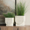 Medina Off White w/ Gold Antiquing Metal Planters Lifestyle Image Feature