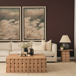 Mercana Trellyn 71297 Brown-Light Furniture Lifestyle Image Feature