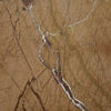 Mercana Matteo 71206 Brown Furniture Swatch Image