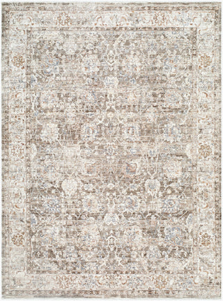 Livabliss Mansfield MFD-2300 Dark Brown Area Rug main image