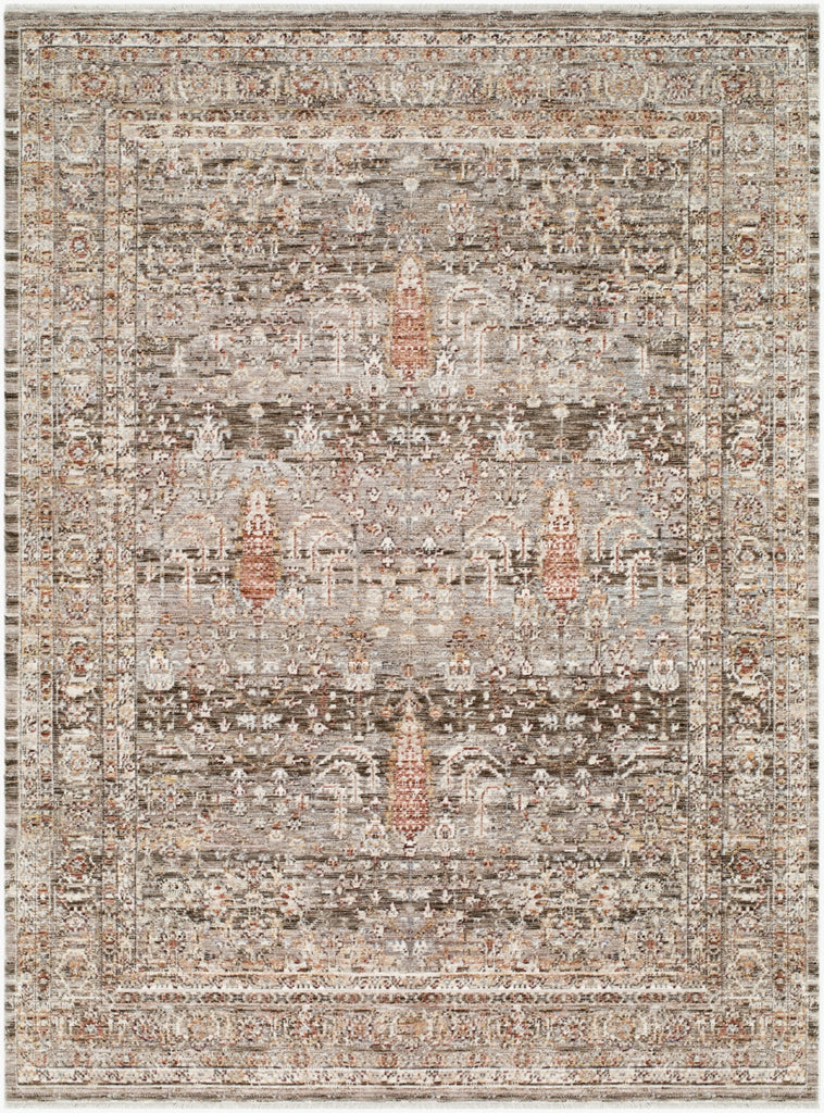 Livabliss Mansfield MFD-2301 Dark Brown Area Rug main image