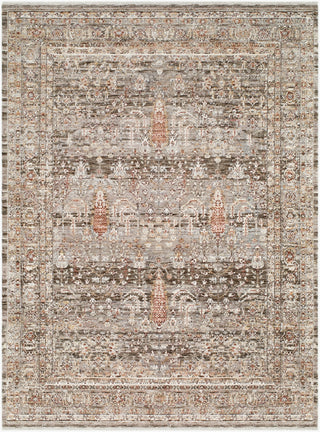 Livabliss Mansfield MFD-2301 Dark Brown Area Rug main image