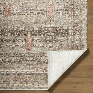 Livabliss Mansfield MFD-2301 Dark Brown Area Rug Pile