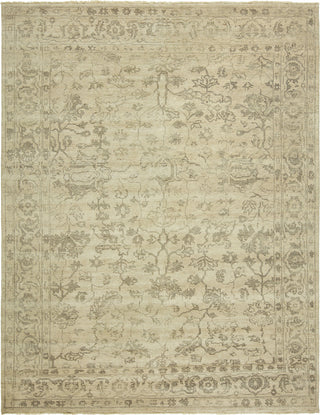 Ancient Boundaries Medes MED-183 Beige Area Rug main image