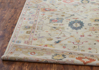 Ancient Boundaries Medes MED-185 Beige Area Rug Closeup Image