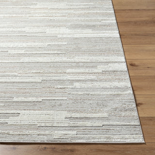 Livabliss Maguire MGU-2300 Area Rug Angle