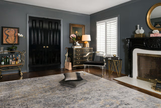 Loloi Mirage MK-01 Iron Area Rug Main Image