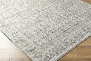 Livabliss Marlon MLO-2301 Pale Slate Area Rug