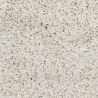 Nourison Modern Shag MMD04 Ivory Beige Area Rug Swatch Image