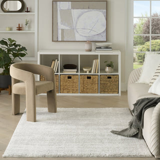 Nourison Modern Shag MMD04 Ivory Grey Area Rug Swatch Image