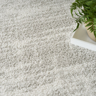 Nourison Modern Shag MMD04 Ivory Grey Area Rug Texture Image