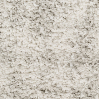 Nourison Modern Shag MMD06 Ivory Grey Area Rug Swatch Image