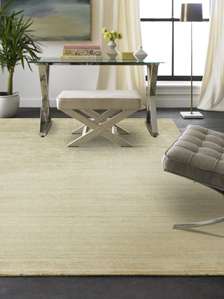K2 Meridian MN-536 Chino Area Rug Floor Image