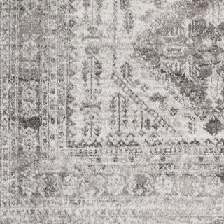 Livabliss Monte Carlo MNC-2314 Area Rug Swatch