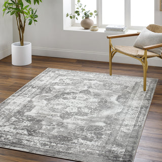 Surya Monte Carlo MNC-2351 Area Rug Room Scene Feature