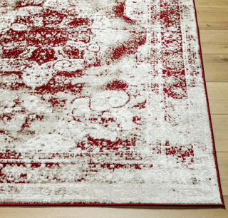 Livabliss Monte Carlo MNC-2352 Area Rug