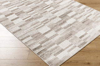 Livabliss Monte Carlo MNC-2357 Silver Area Rug