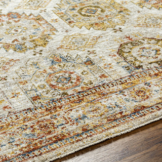 Livabliss Mona Lisa MNI-2303 Area Rug