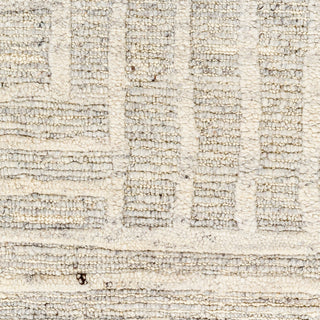 Surya Manisa MNS-2304 Area Rug Swatch