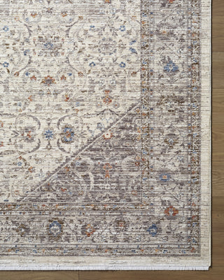 Livabliss Montreux MNX-2300 Area Rug Overhead Image