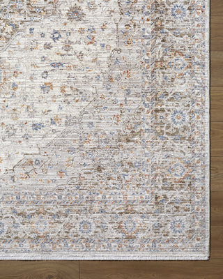 Livabliss Montreux MNX-2301 Area Rug Overhead Image