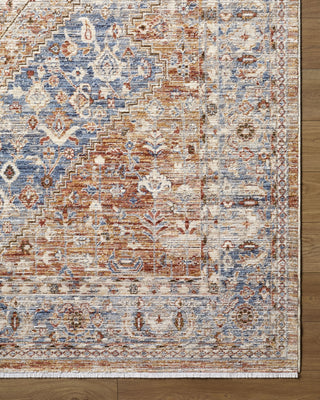 Livabliss Montreux MNX-2307 Area Rug Overhead Image