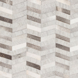 Surya Medora MOD-1008 Area Rug Swatch